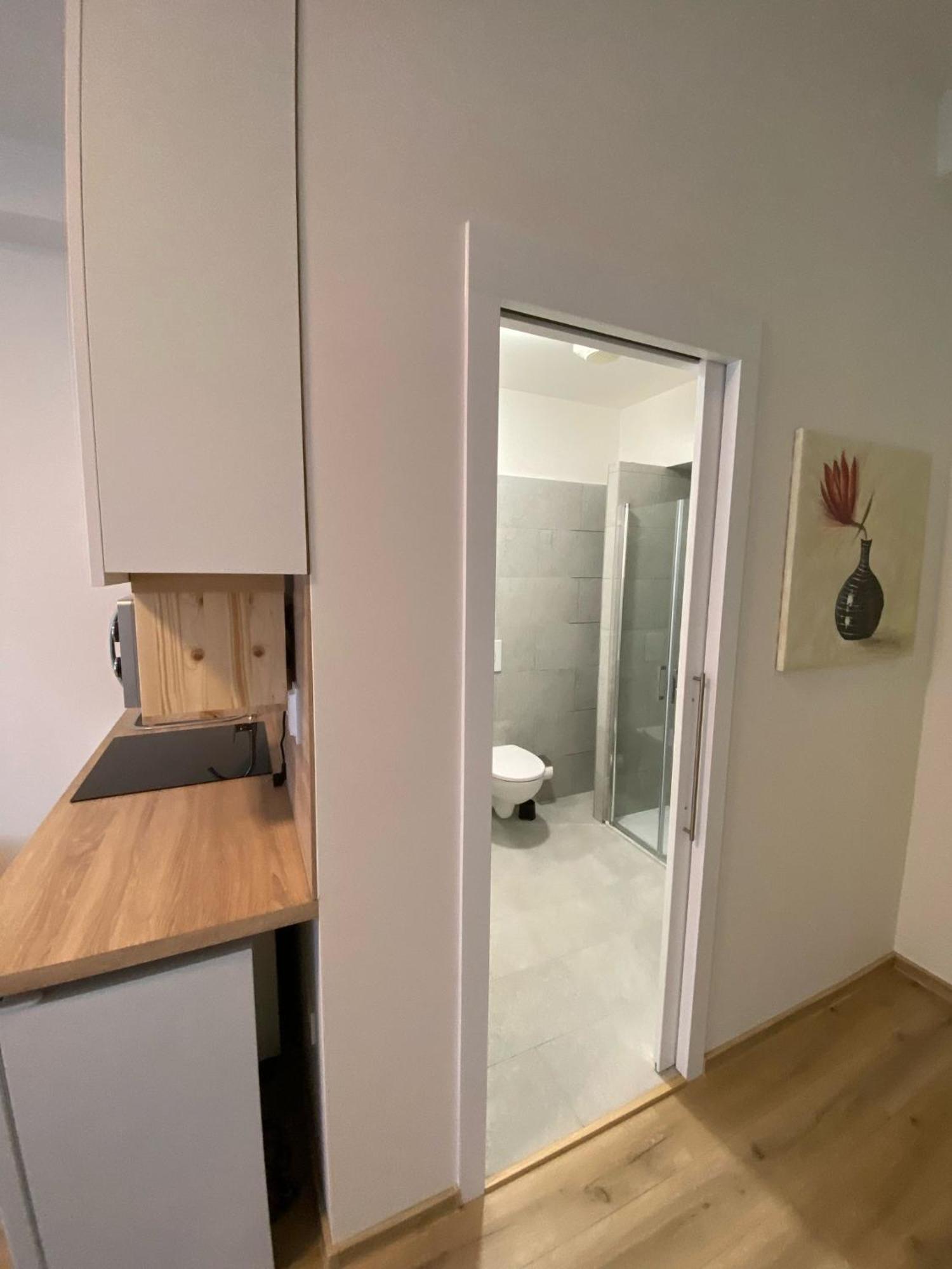 Garsoniera Ostrava City Centr, Na Hradbach 118 מראה חיצוני תמונה